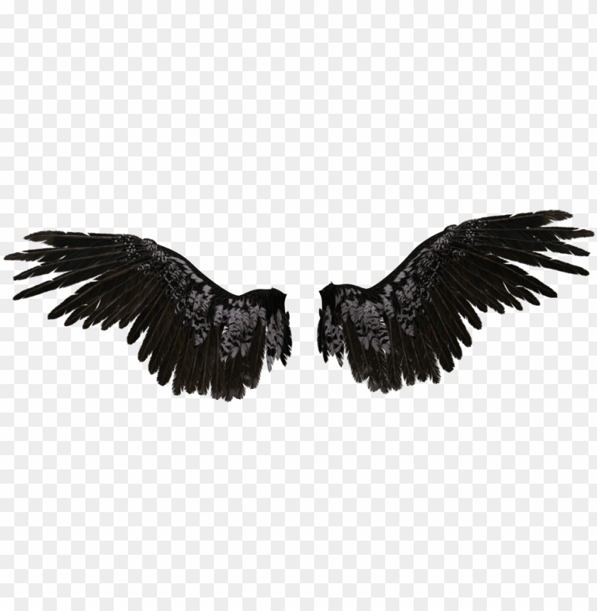Detail Black Angle Wings Nomer 42