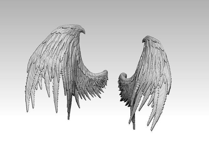 Detail Black Angle Wings Nomer 44