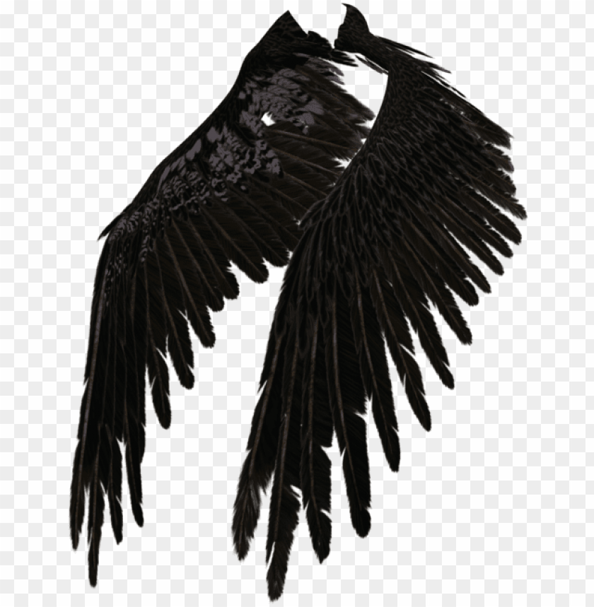 Detail Black Angle Wings Nomer 46