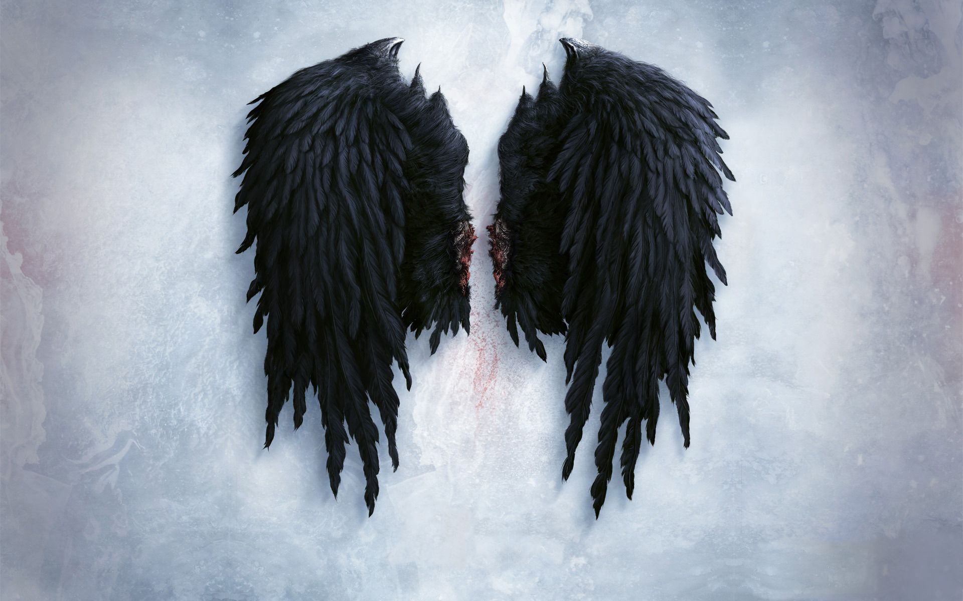 Detail Black Angle Wings Nomer 6