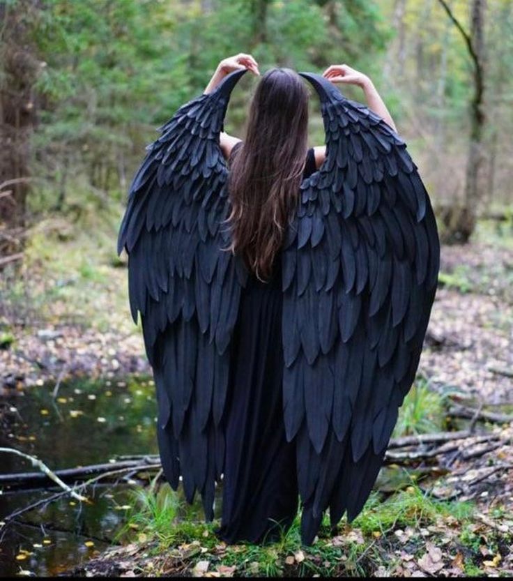 Detail Black Angle Wings Nomer 49