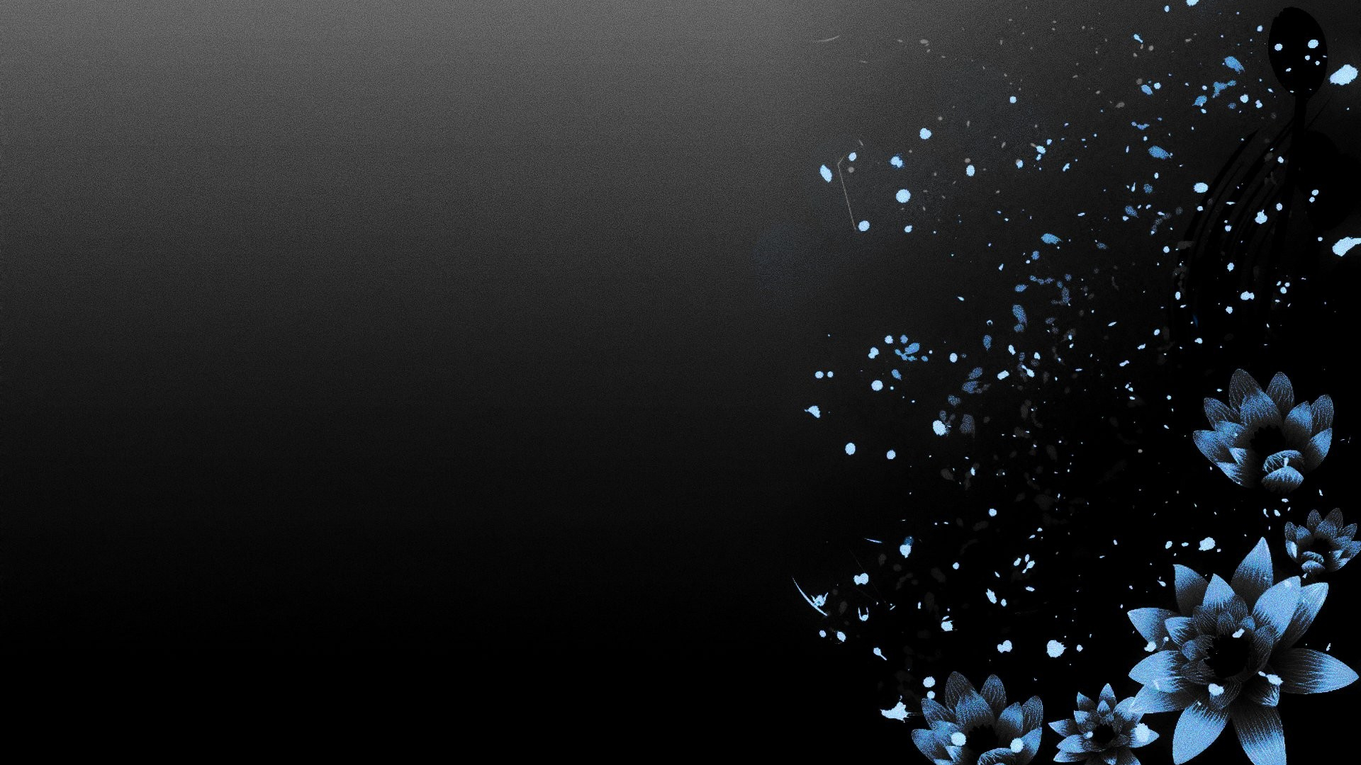 Detail Black Background Hd Nomer 57