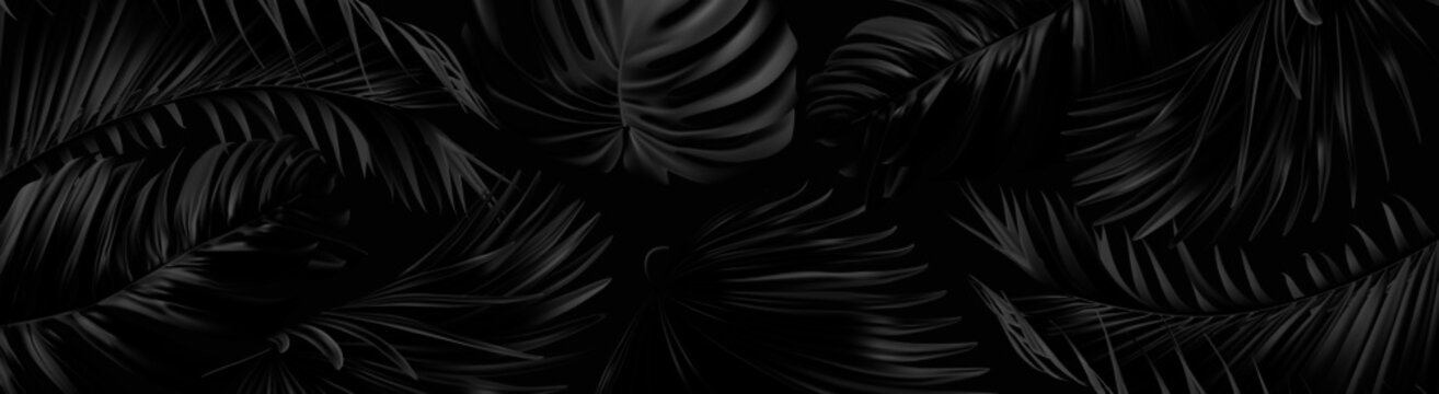 Detail Black Banner Nomer 22