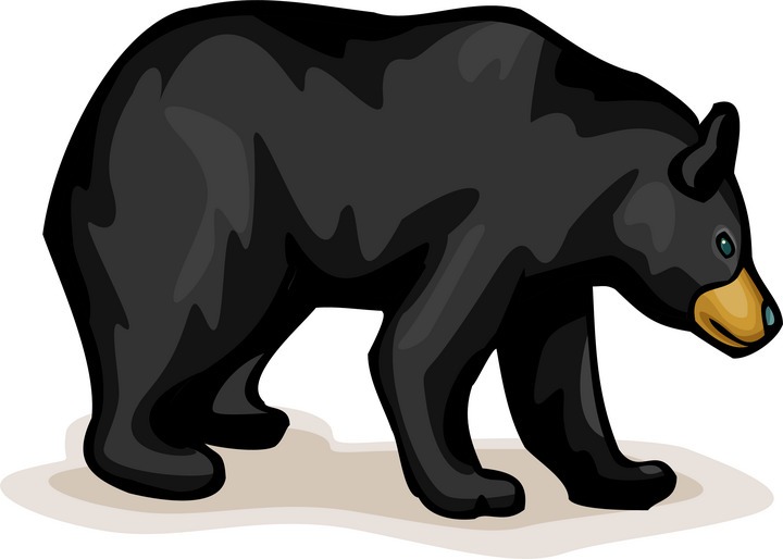 Detail Black Bear Photos Free Nomer 31