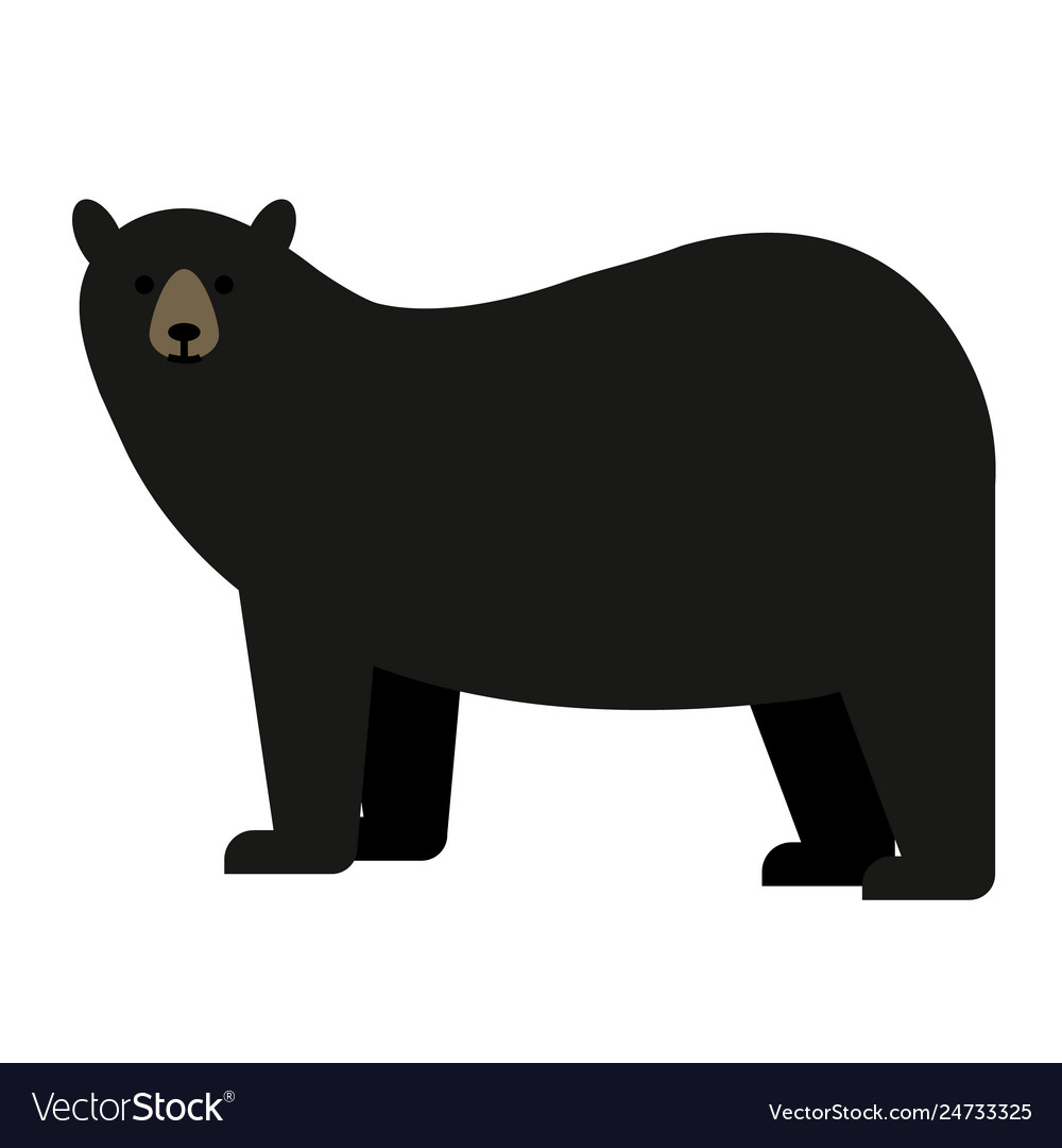 Detail Black Bear Photos Free Nomer 33