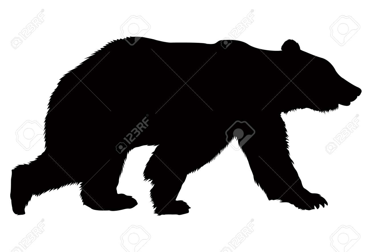 Detail Black Bear Photos Free Nomer 34