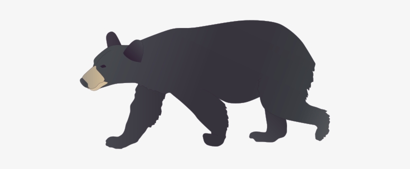 Detail Black Bear Png Nomer 48
