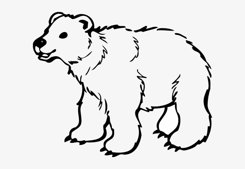 Detail Black Bear Png Nomer 52