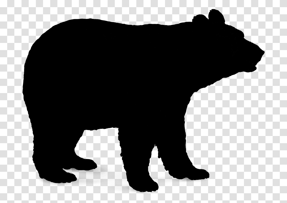 Detail Black Bear Transparent Nomer 17