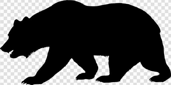 Detail Black Bear Transparent Nomer 20