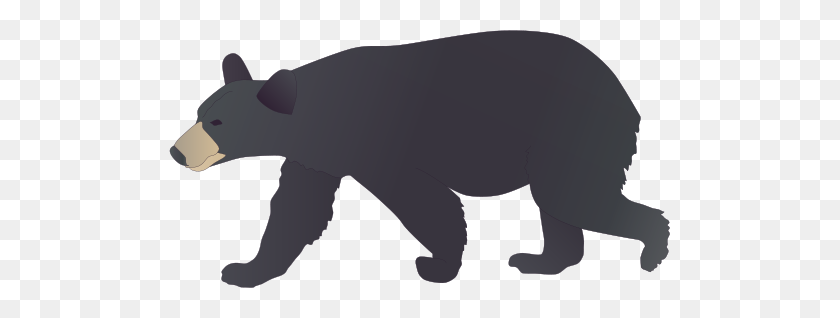 Detail Black Bear Transparent Nomer 32