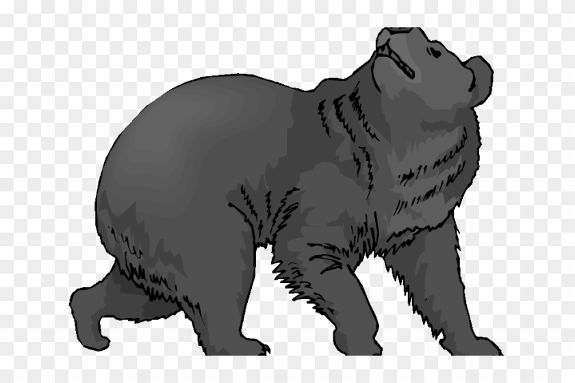 Detail Black Bear Transparent Nomer 41