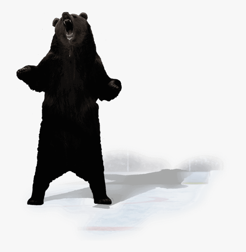 Detail Black Bear Transparent Nomer 47