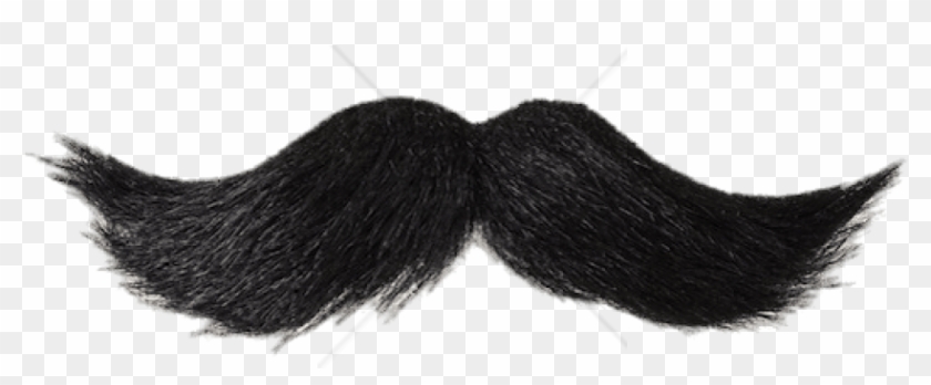 Detail Black Beard Png Nomer 57
