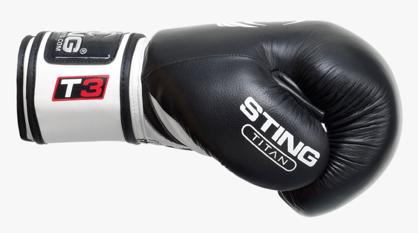 Detail Black Boxing Glove Png Nomer 9