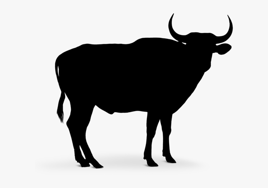 Detail Black Bull Hd Nomer 54