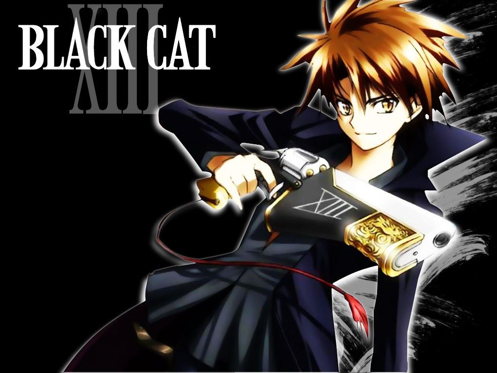 Detail Black Cat Anime Nomer 20