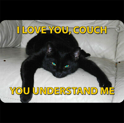 Detail Black Cat Meme Nomer 20
