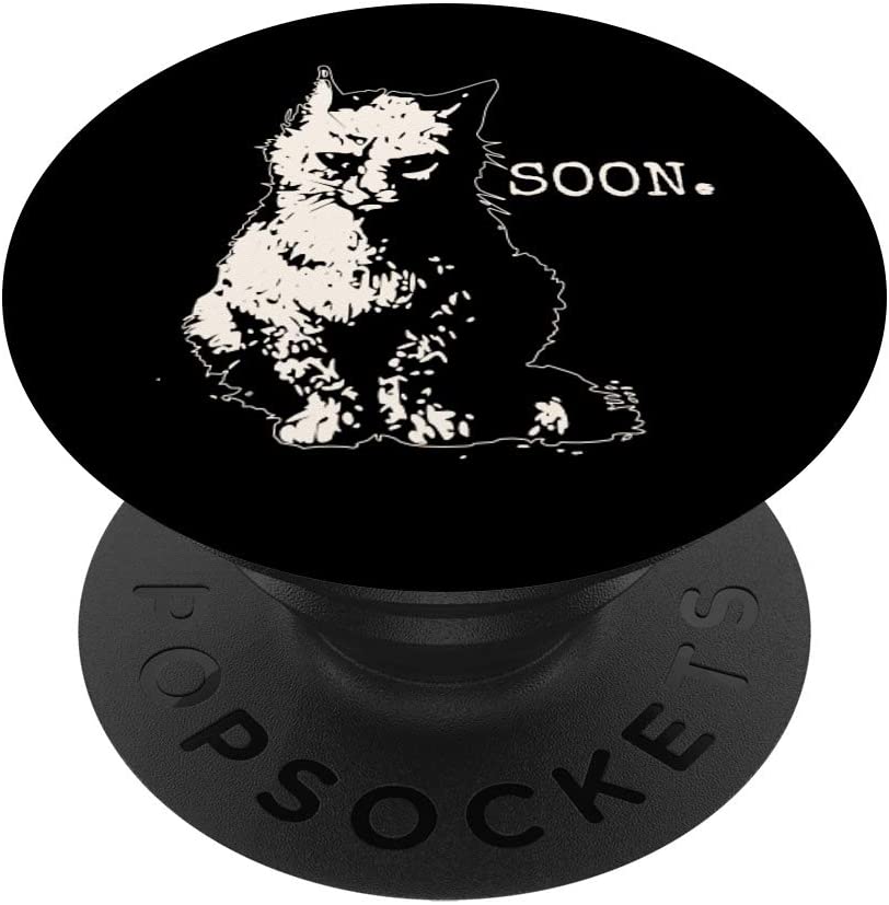 Detail Black Cat Meme Nomer 22