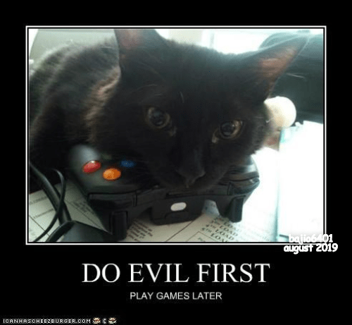 Detail Black Cat Meme Nomer 26