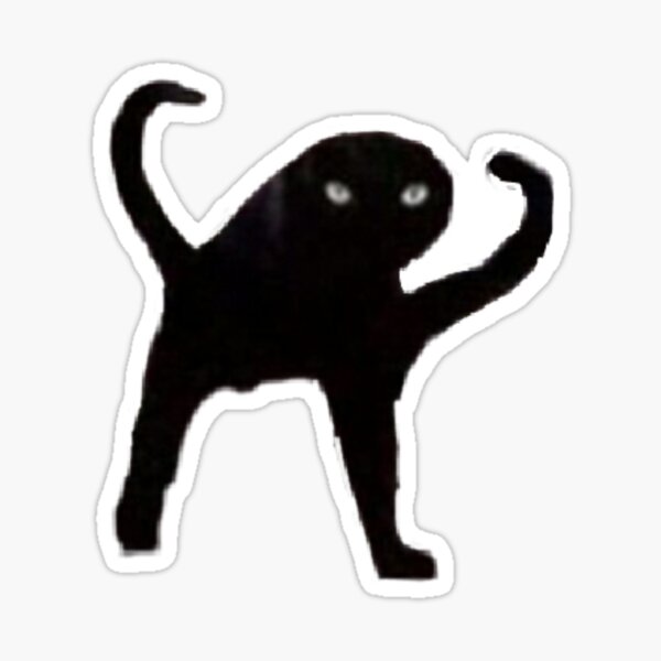 Detail Black Cat Meme Nomer 5