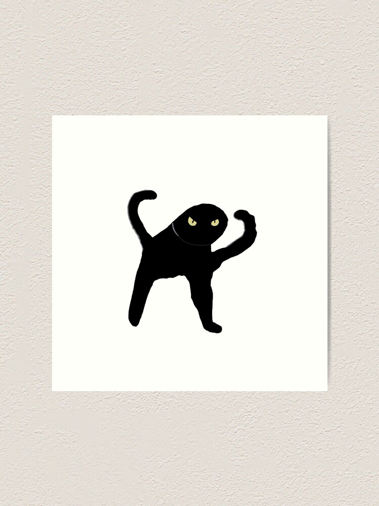Detail Black Cat Meme Nomer 47