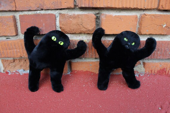 Detail Black Cat Meme Nomer 48