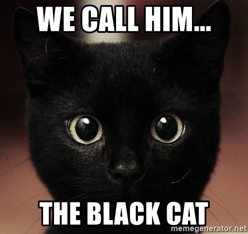 Detail Black Cat Meme Nomer 50