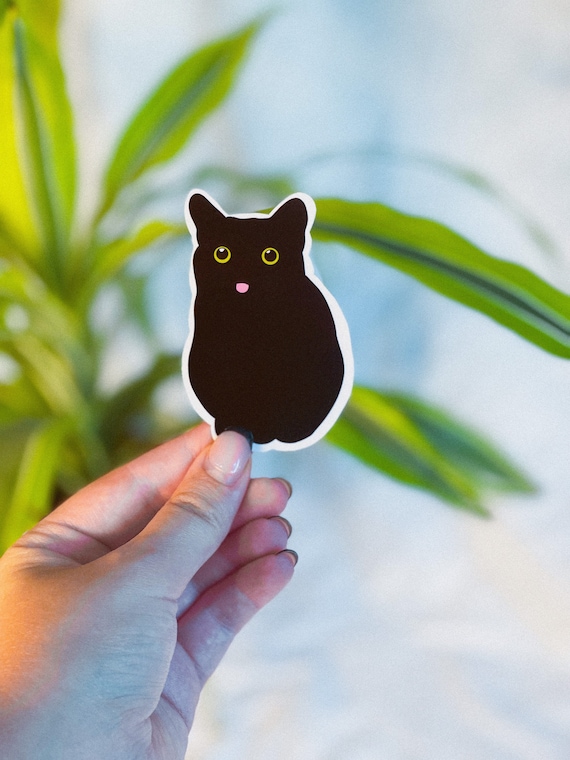 Detail Black Cat Meme Nomer 52