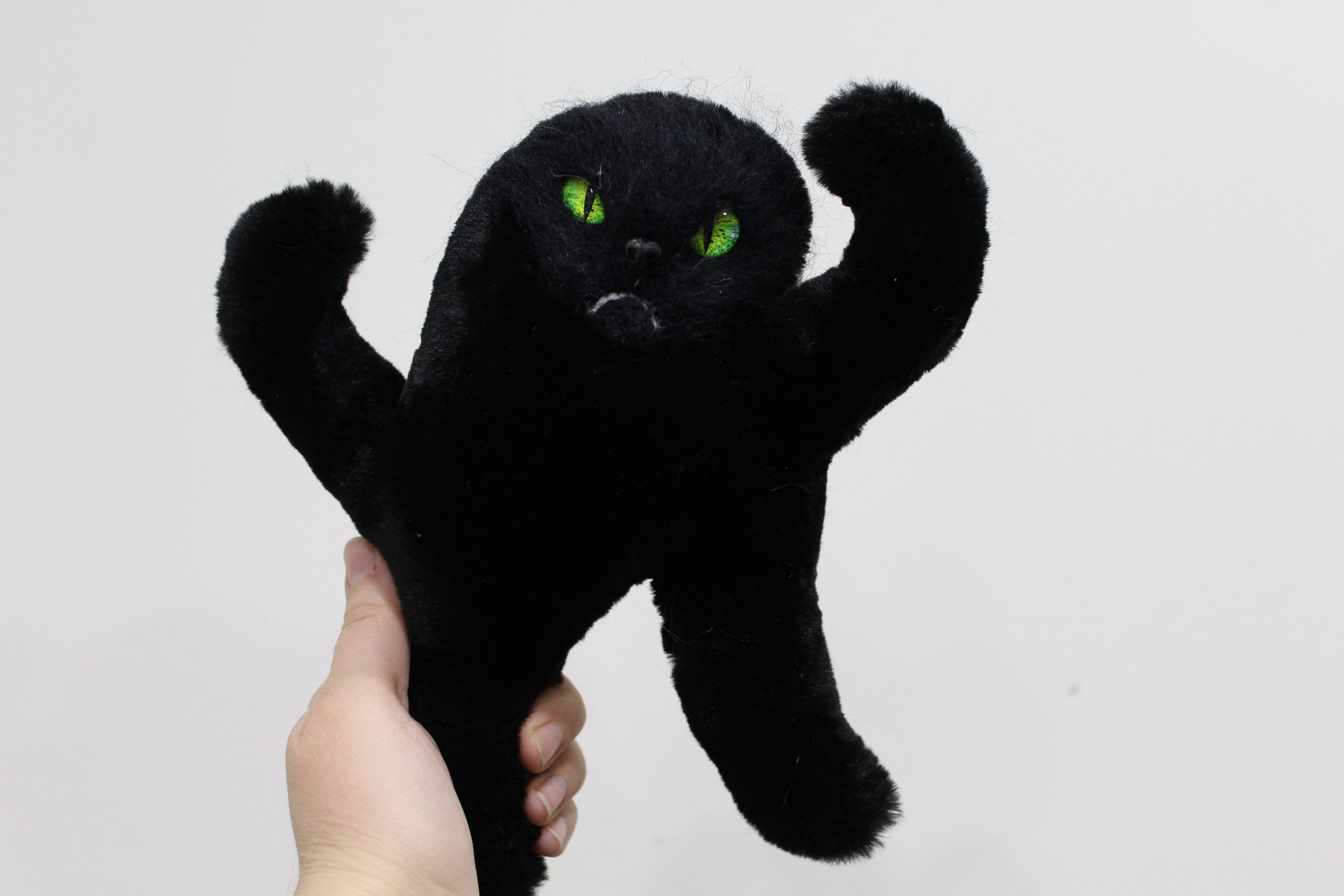 Detail Black Cat Meme Nomer 53