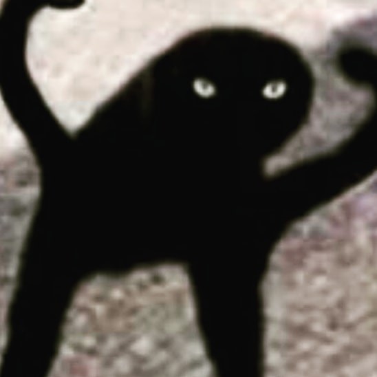 Detail Black Cat Meme Nomer 55