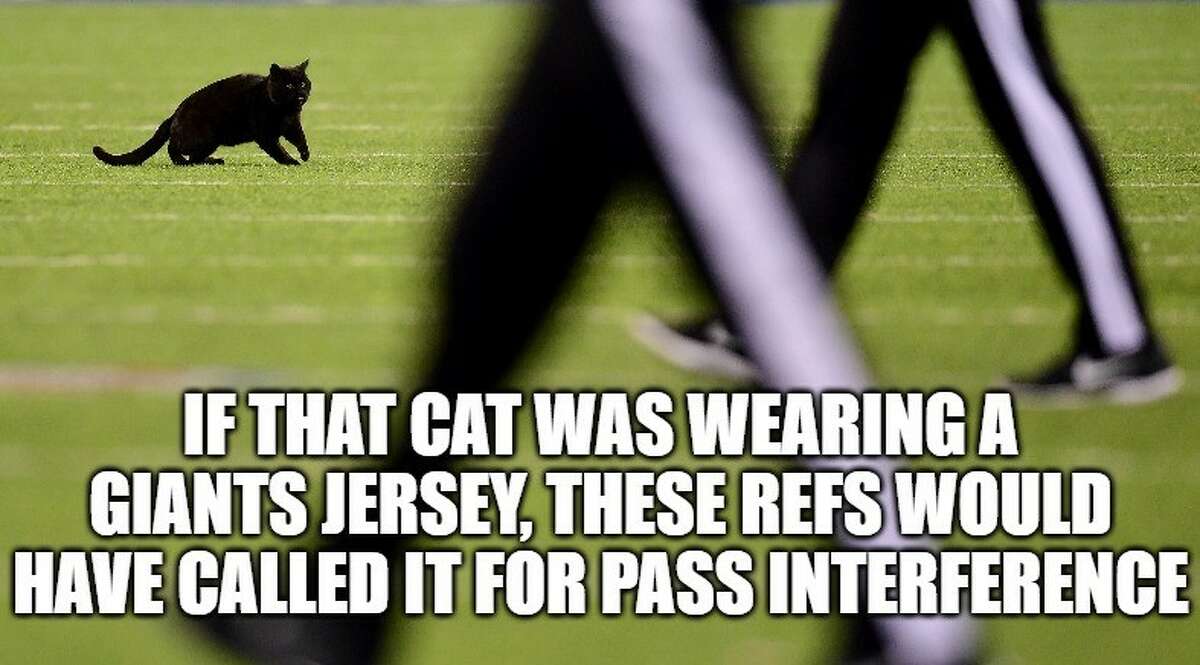 Detail Black Cat Meme Nomer 7