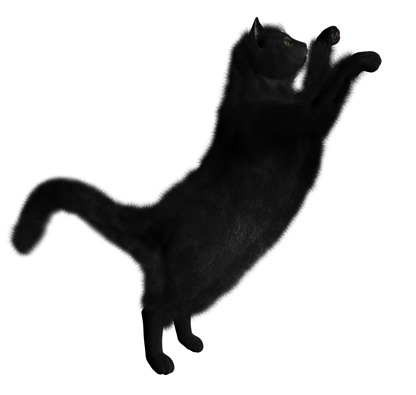 Detail Black Cat Png Transparent Nomer 17