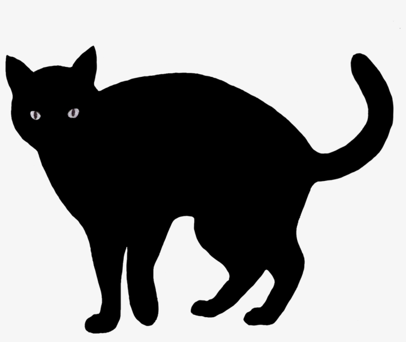 Detail Black Cat Png Transparent Nomer 31