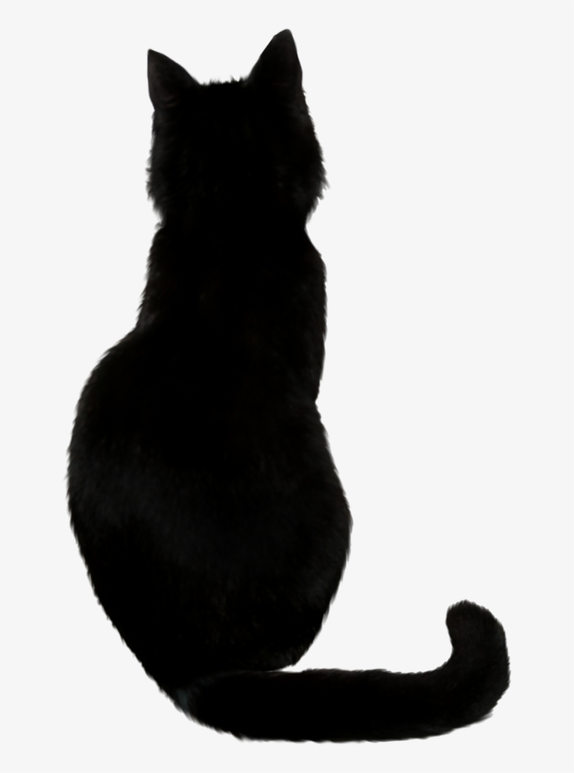 Detail Black Cat Png Transparent Nomer 36