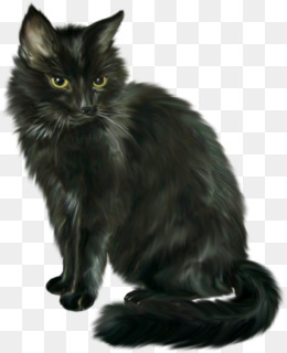 Detail Black Cat Png Transparent Nomer 38