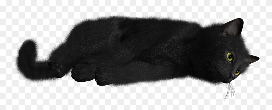 Detail Black Cat Png Transparent Nomer 9