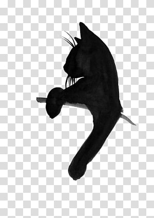 Detail Black Cat Transparent Background Nomer 31