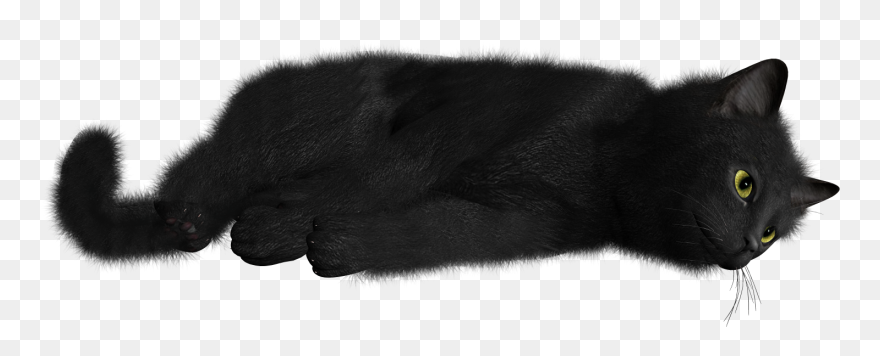 Detail Black Cat Transparent Background Nomer 5