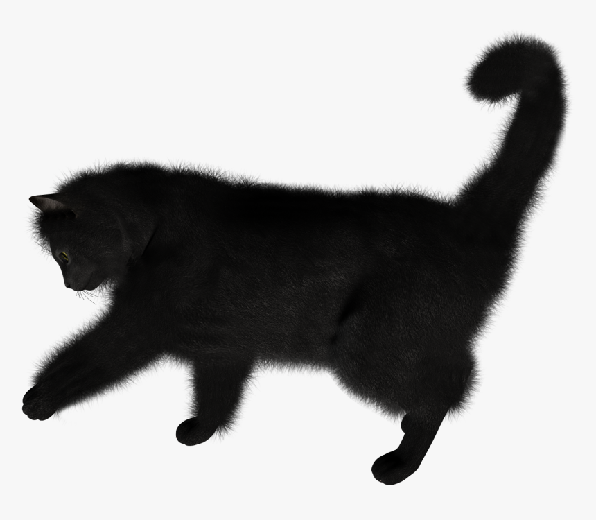 Detail Black Cat Transparent Background Nomer 43