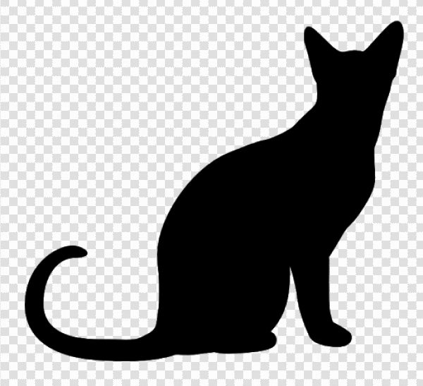 Detail Black Cat Transparent Background Nomer 51