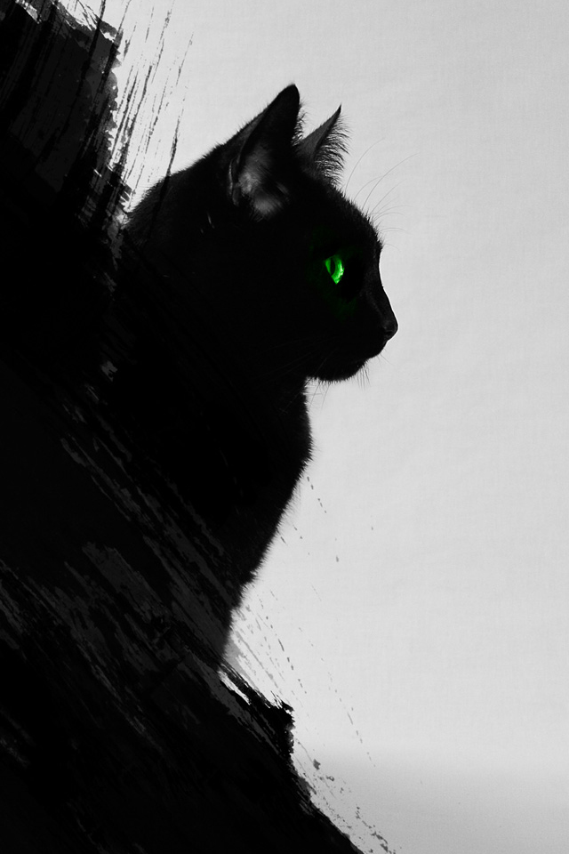 Detail Black Cat Wallpaper Nomer 35