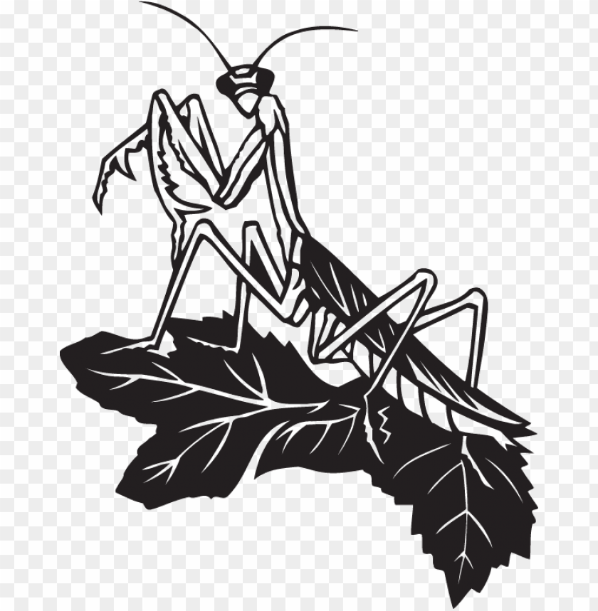 Detail Black Clover Praying Mantis Nomer 48