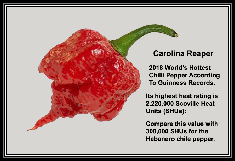 Detail Black Cobra Pepper Scoville Scale Nomer 40