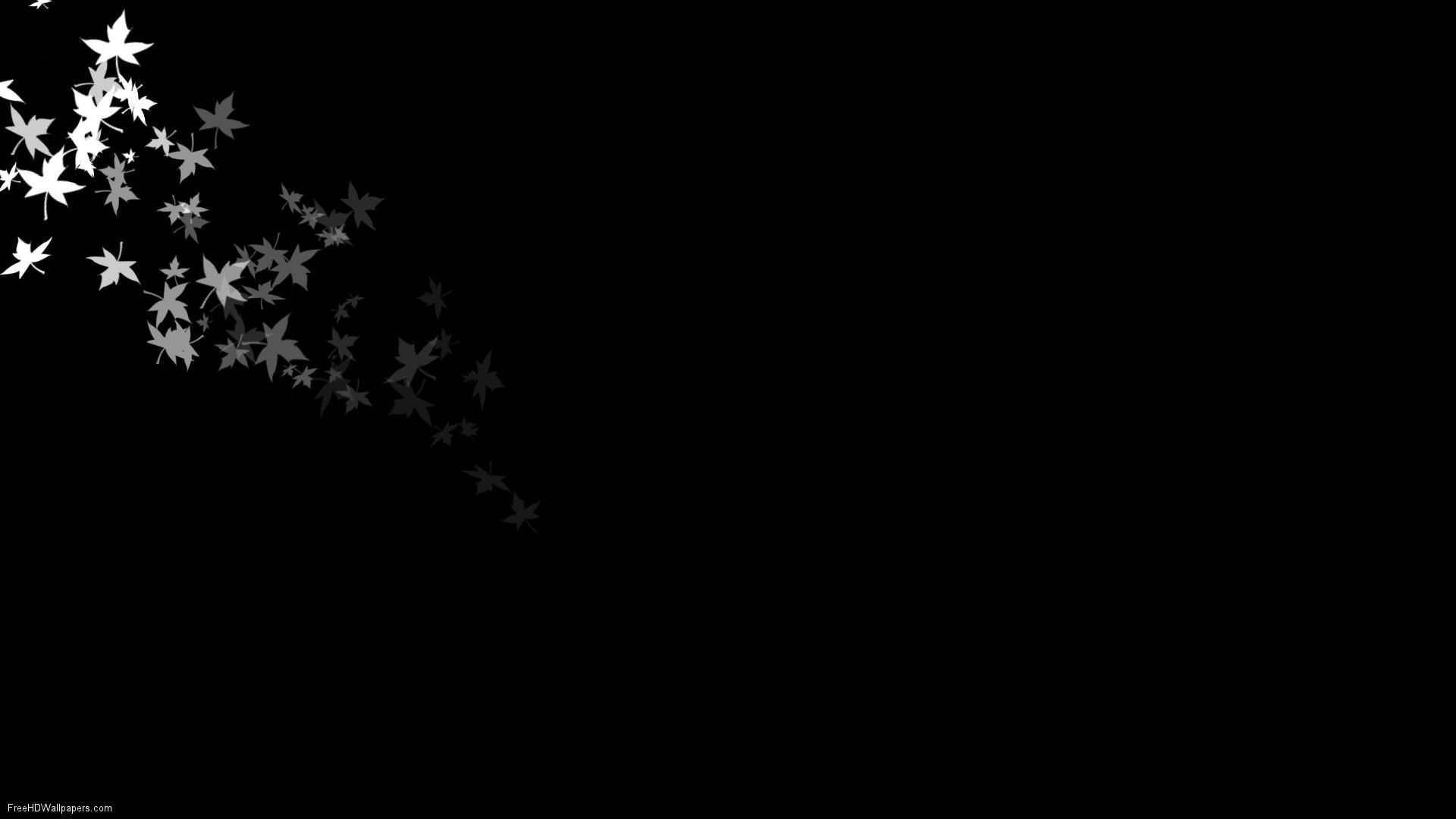 Detail Black Colour Wallpaper Nomer 4