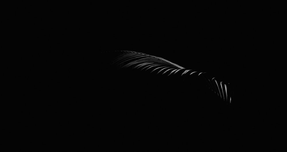 Detail Black Cool Wallpaper Nomer 37