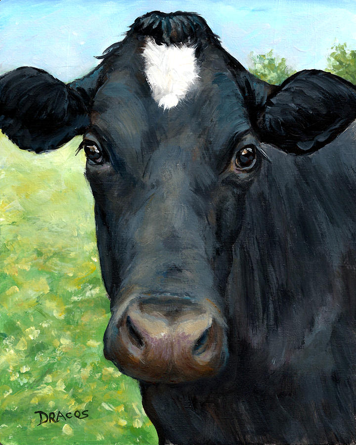 Detail Black Cow Pictures Nomer 14