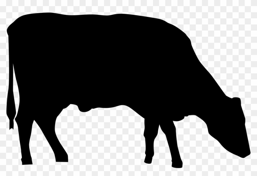 Detail Black Cow Png Nomer 21