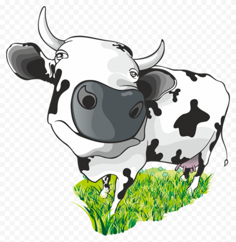 Detail Black Cow Png Nomer 40