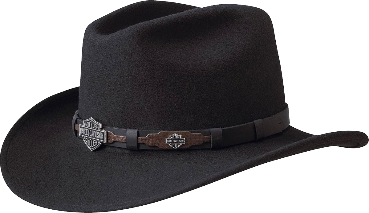 Detail Black Cowboy Hat Png Nomer 30